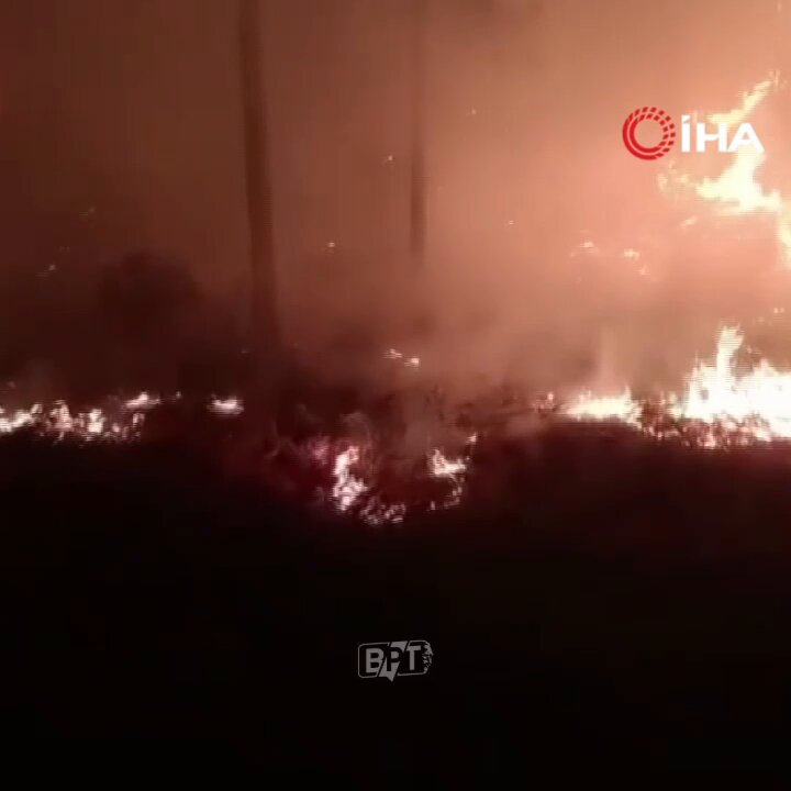 Muğla Yatağan'da Orman Yangını: Kontrol Altına Alma Çalışmaları Sürüyor